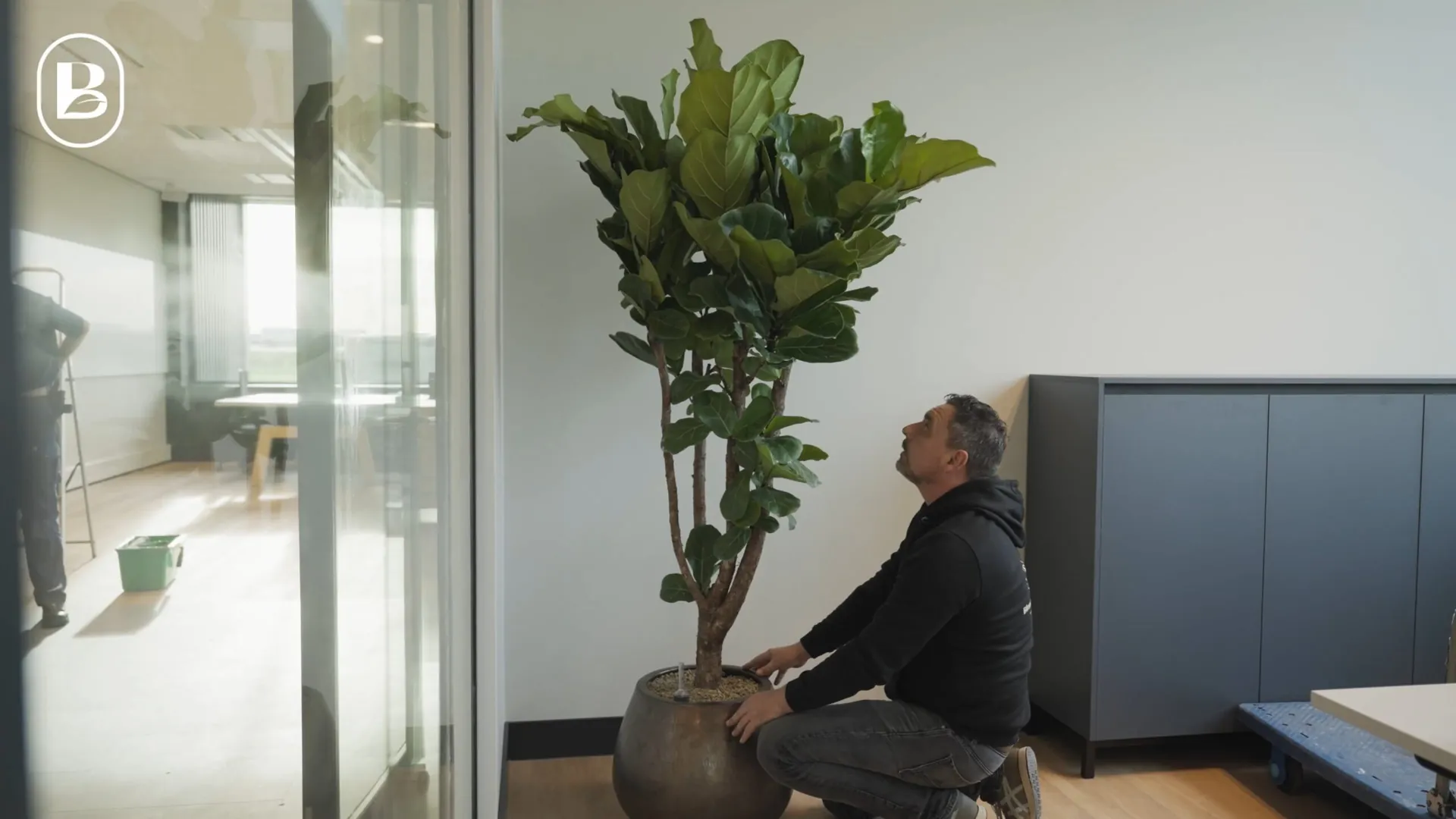 Interieurbeplanter verzorgt een plant op kantoor, still uit een bedrijfsvideo
